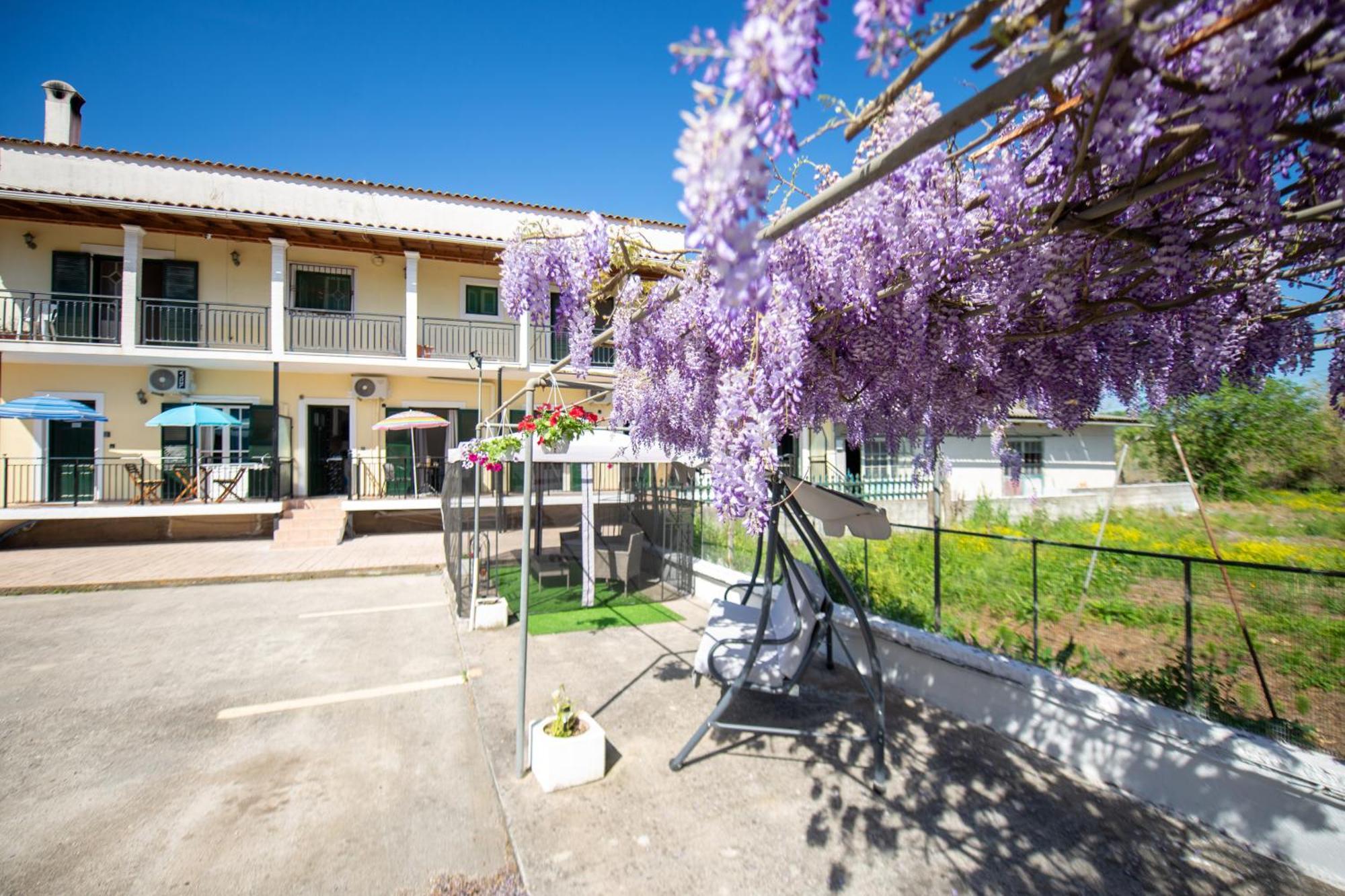 Ionian Luxury Διαμέρισμα *